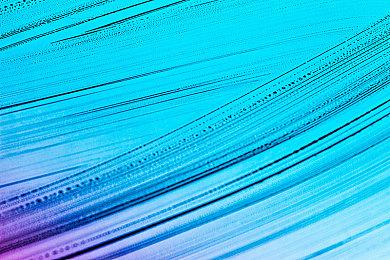 《燕云十六声》由网易投资 确认支持单人和多人模式